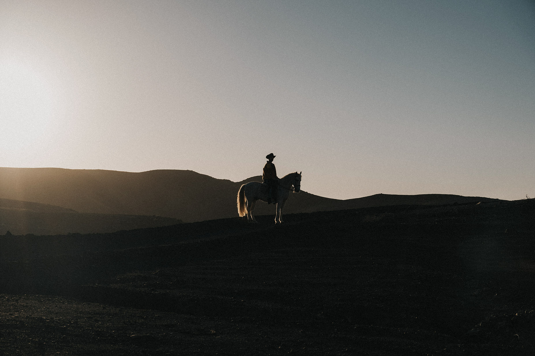 Morgan & Ness - szycie na miarę