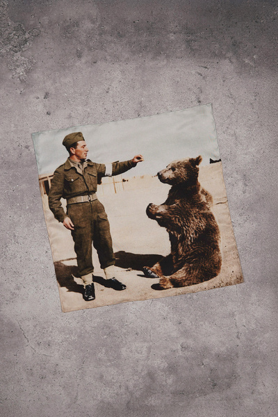 Poszetka jedwabna “Niedźwiedź Wojtek” (2. Korpus Polski) - Archive Series